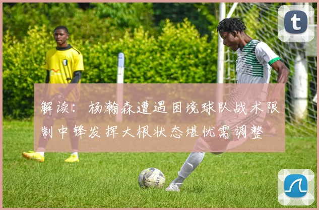 解读：杨瀚森遭遇困境球队战术限制中锋发挥大根状态堪忧需调整